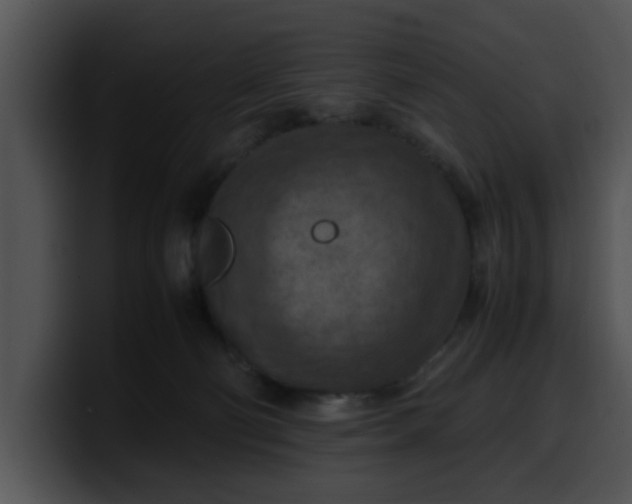 X0000099980130200806061531