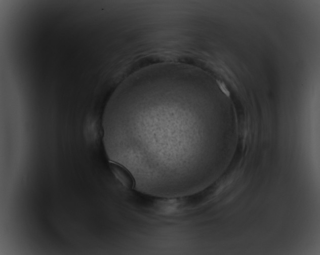 X0000099980131200806061531