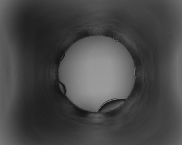 X0000099980133200806061531