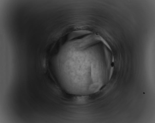 X0000099980134200806061531