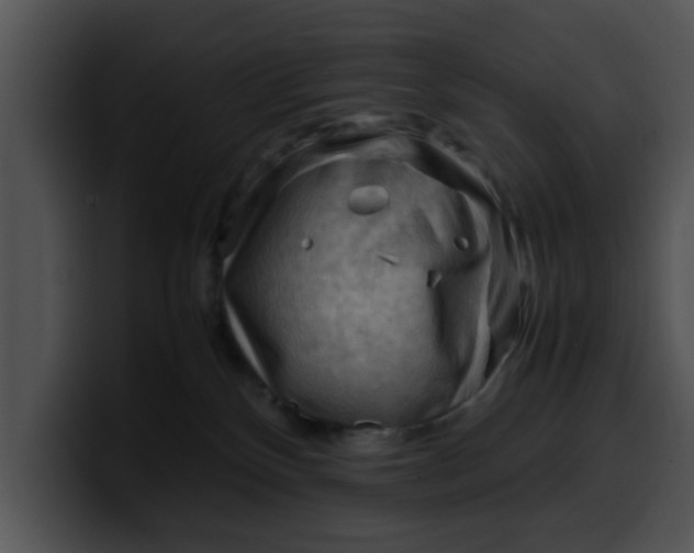 X0000099980136200806061531