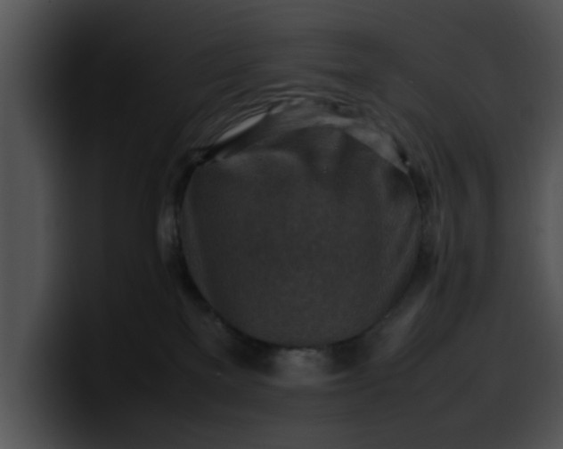 X0000099980137200806061531