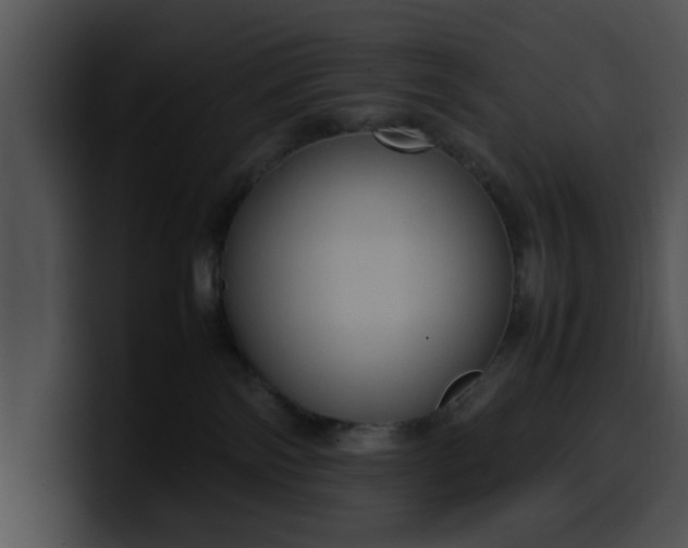 X0000099980138200806061531