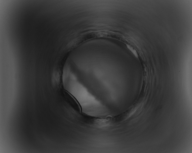 X0000099980139200806061531