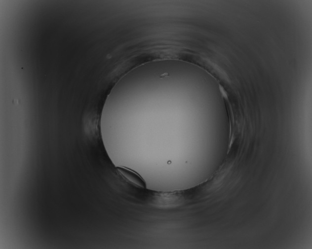 X0000099980141200806061531