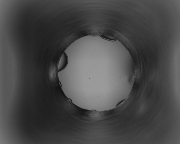 X0000099980142200806061531