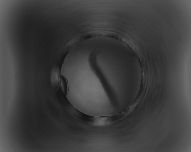 X0000099980143200806061531