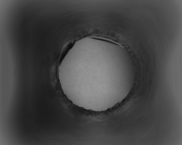 X0000099980144200806061531