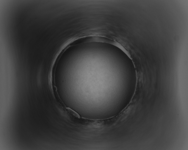 X0000099980148200806061531