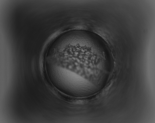 X0000099980149200806061531