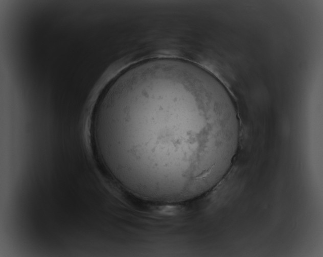 X0000099980151200806061531