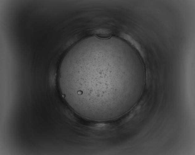 X0000099980153200806061531