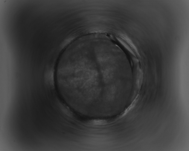 X0000099980154200806061531