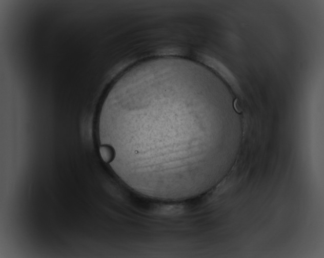 X0000099980155200806061531