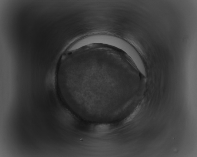 X0000099980156200806061531