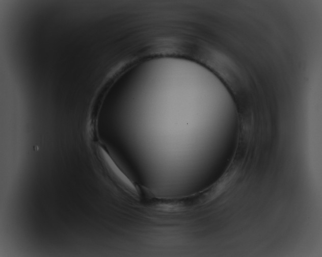 X0000099980160200806061531