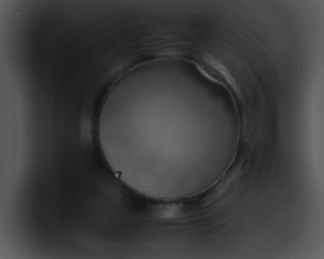 X0000099980161200806061531