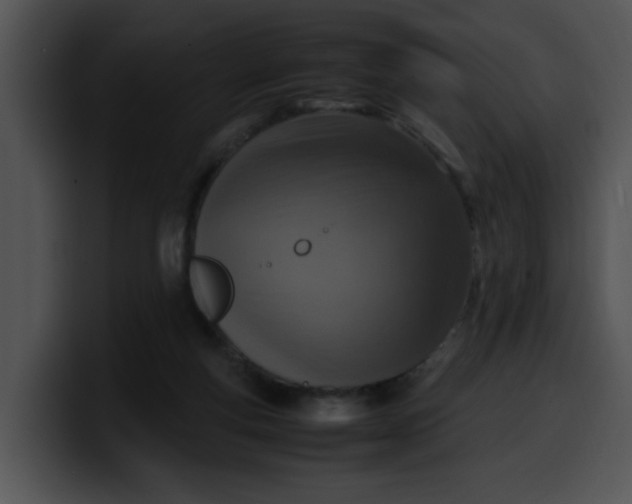 X0000099980163200806061531