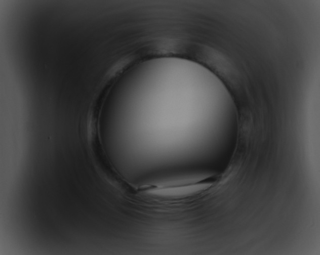 X0000099980164200806061531