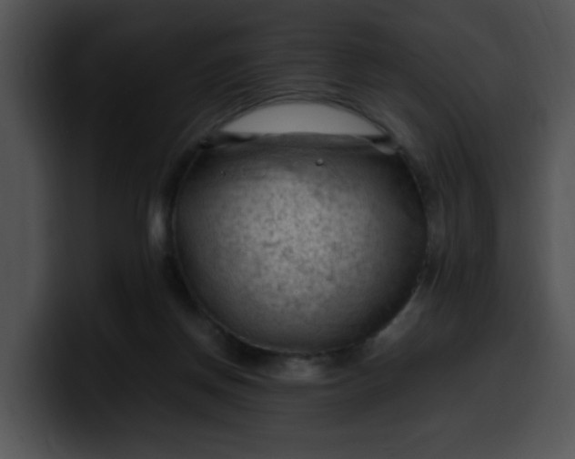 X0000099980166200806061531