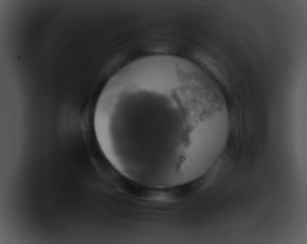 X0000099980167200806061531