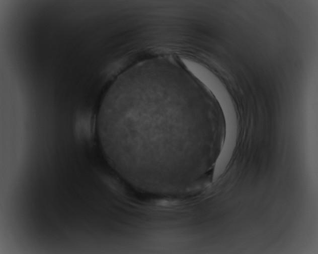 X0000099980168200806061531