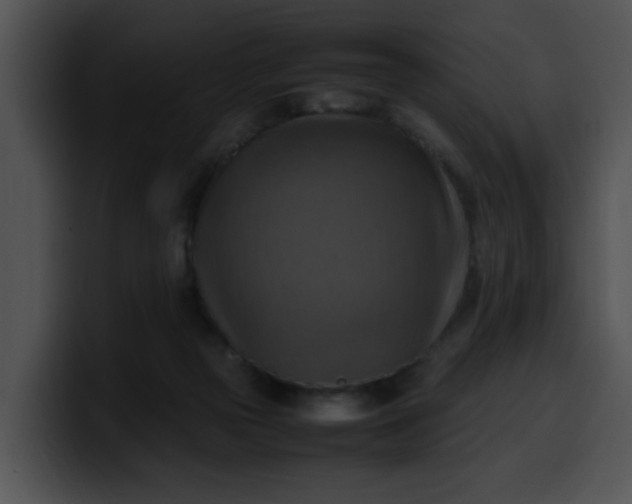 X0000099980169200806061531