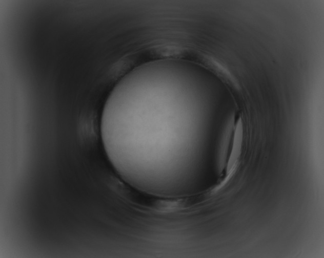 X0000099980170200806061531