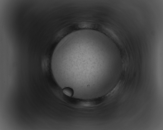 X0000099980171200806061531