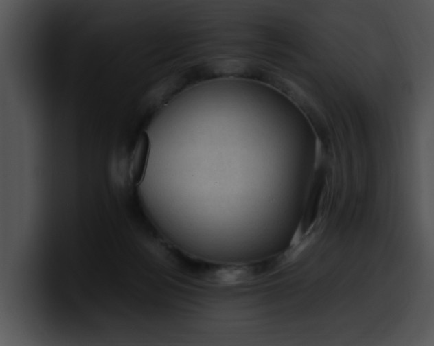 X0000099980172200806061531