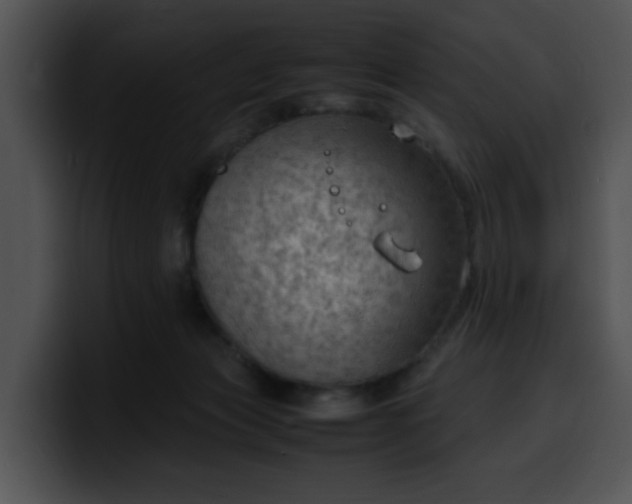 X0000099980173200806061531