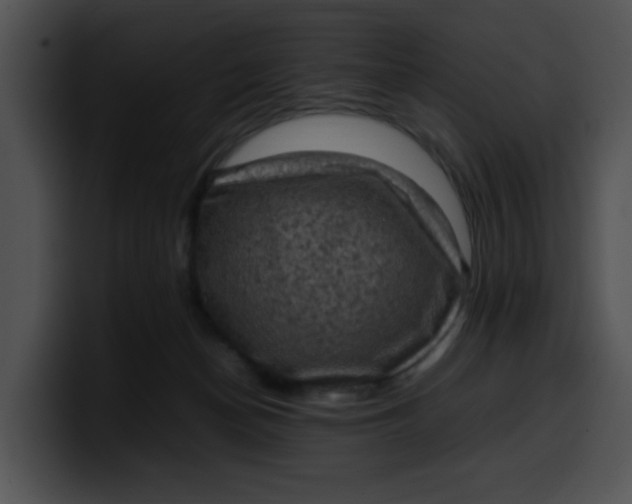 X0000099980174200806061531