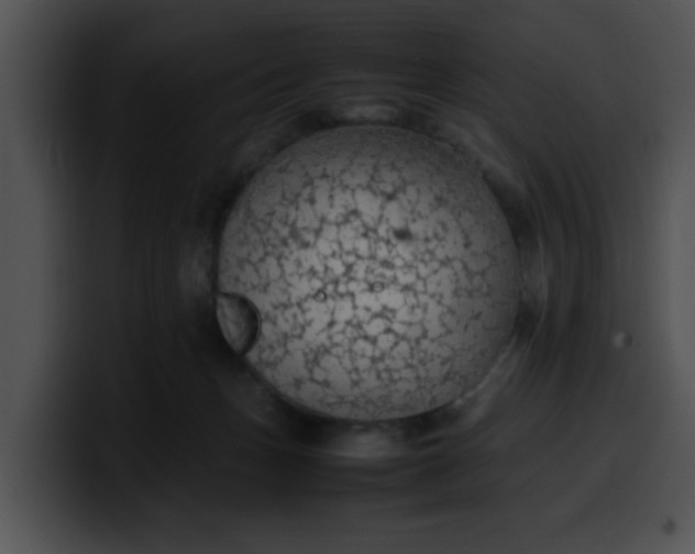 X0000099980175200806061531