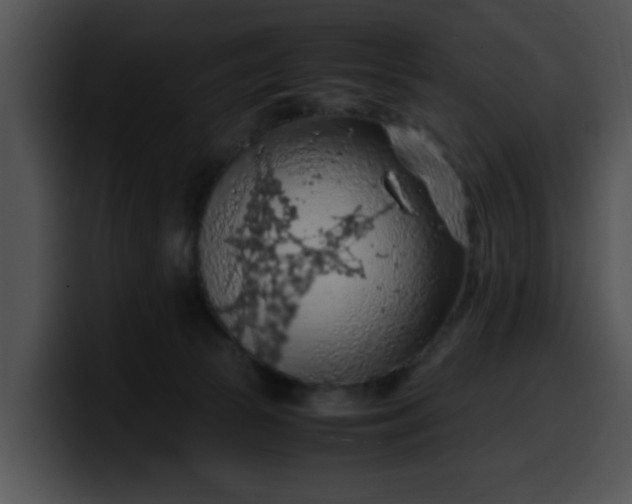 X0000099980177200806061531