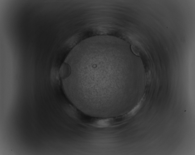 X0000099980178200806061531