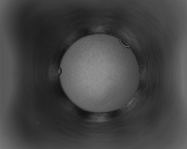 X0000099980179200806061531