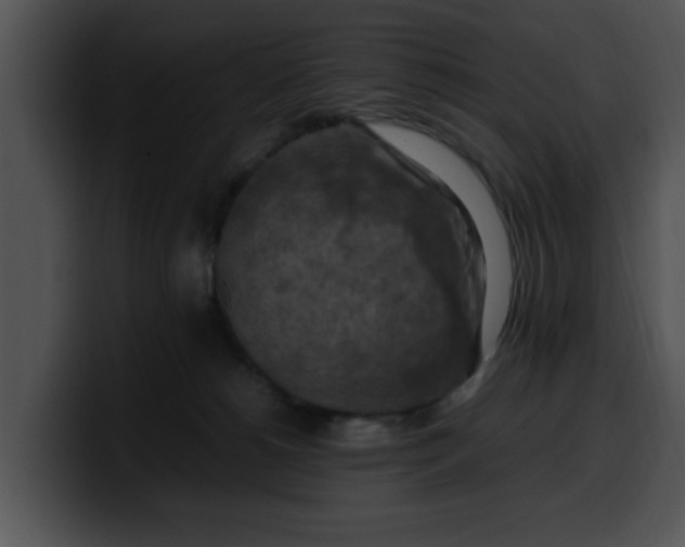 X0000099980180200806061531