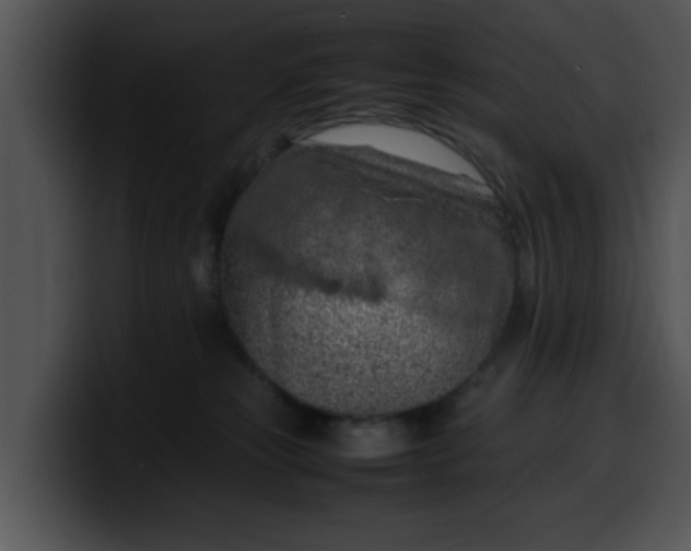 X0000099980181200806061531