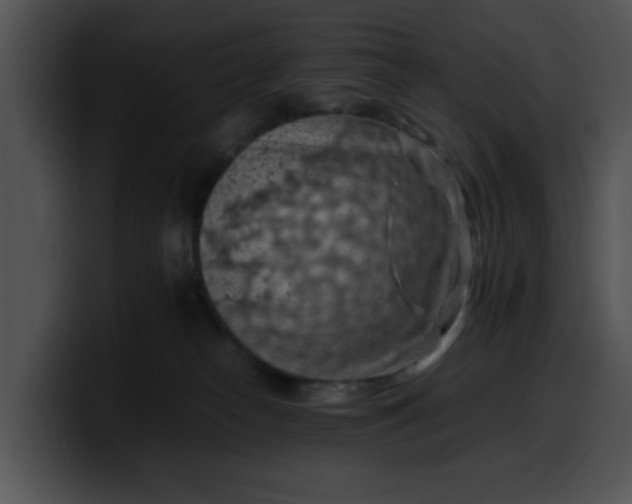 X0000099980182200806061531