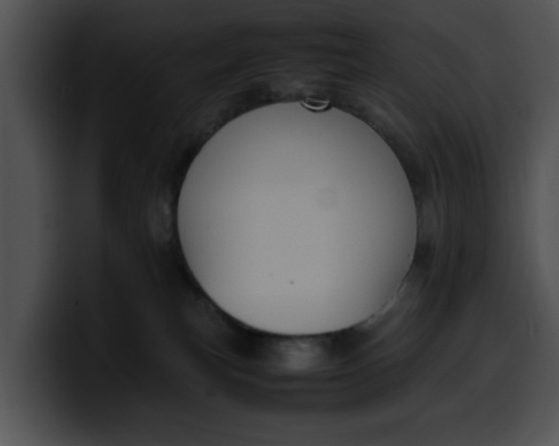 X0000099980183200806061531