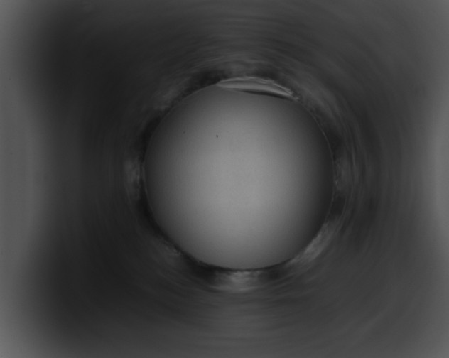 X0000099980184200806061531