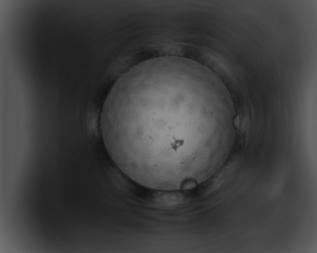 X0000099980185200806061531