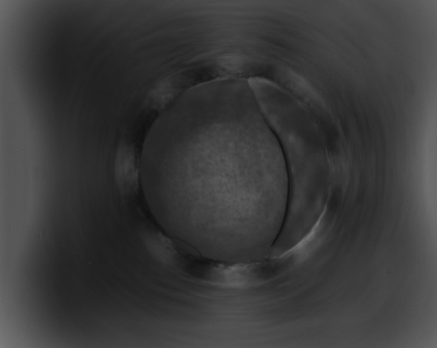 X0000099980186200806061531