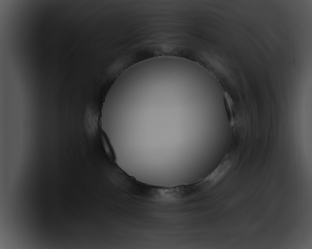 X0000099980188200806061531