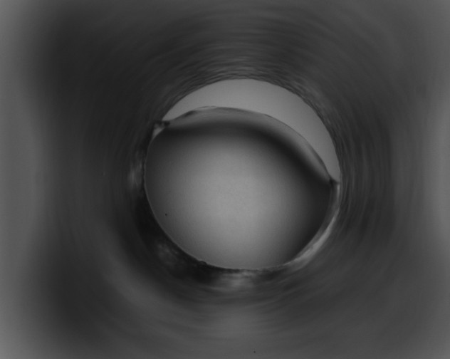 X0000099980190200806061531