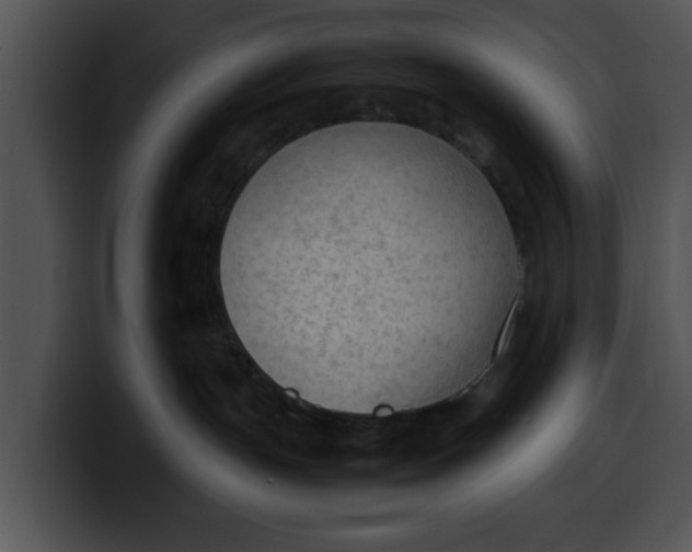 X0000099980191200806061531