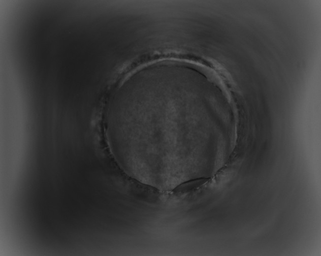 X0000099980192200806061531