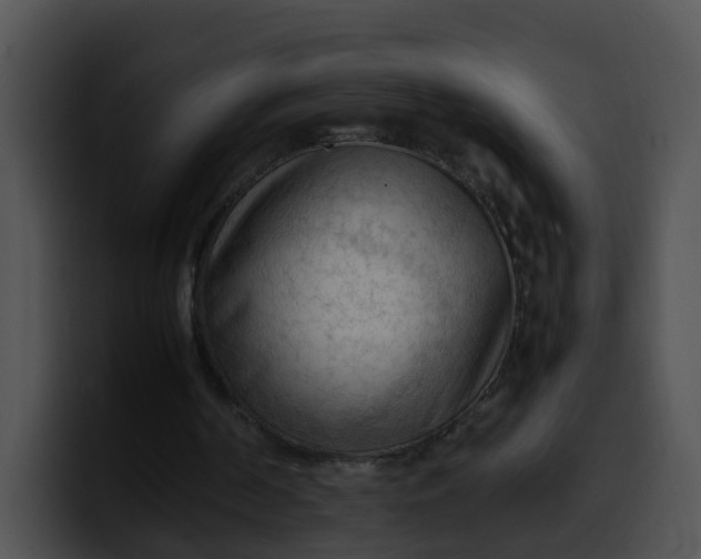 X0000099980194200806061530