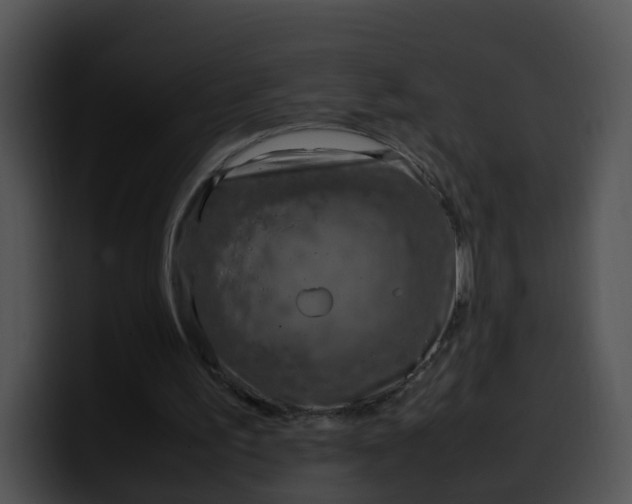 X0000099980195200806061530