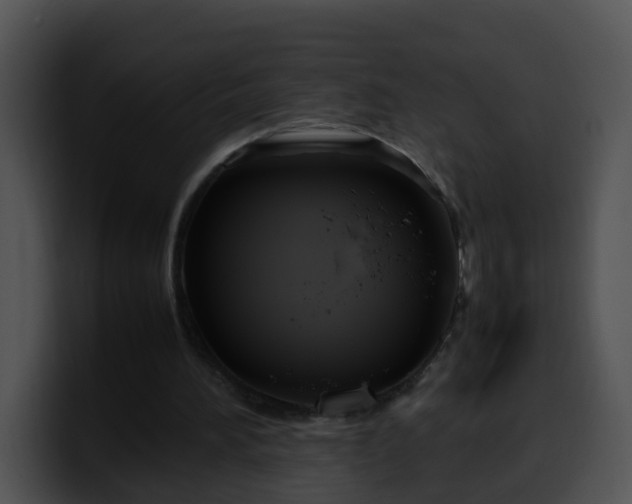 X0000099980196200806061530